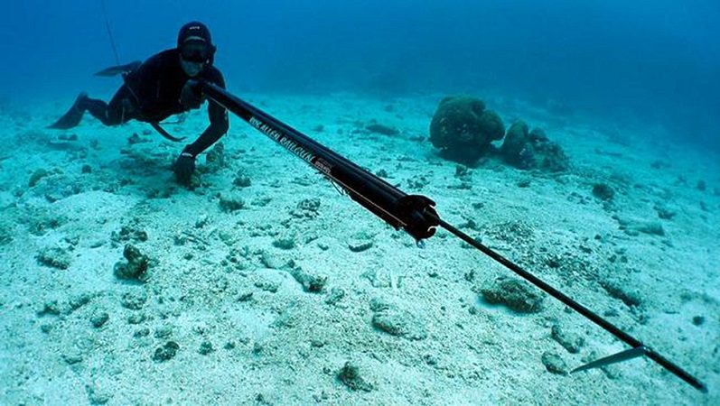 How to prepare for spearfishing