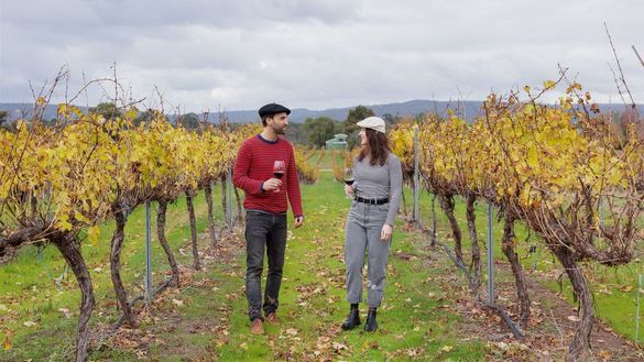 Five Reasons to Visit the Swan Valley This Winter