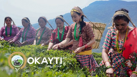 Tea Tour Extravaganza: Okayti Brews Tourism Magic!