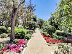 The Phoenicia garden path