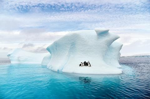 Unleash Your Antarctic Adventure with Exclusive Discounts!