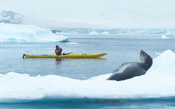Sizzling Summer Specials: Up to 30% Off with Quark Expeditions!