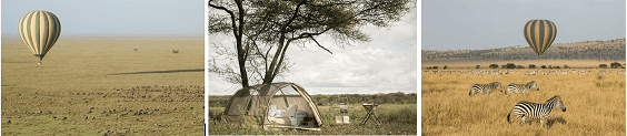 Soaring Serengeti: Safari Odyssey!