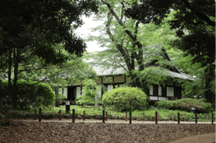 Immerse in 270-Year-Old Japanese House: Unleash Kyoto’s Rich Culture!